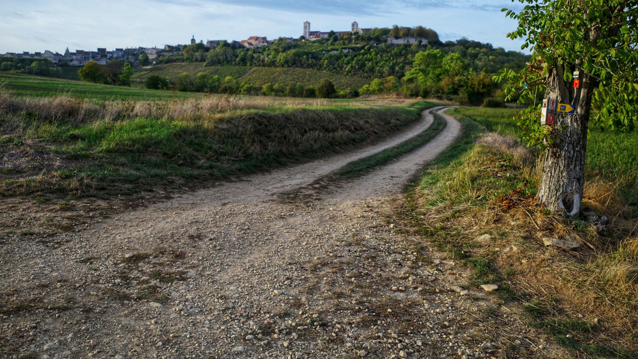 Jakobsweg kurz vor Vézelay