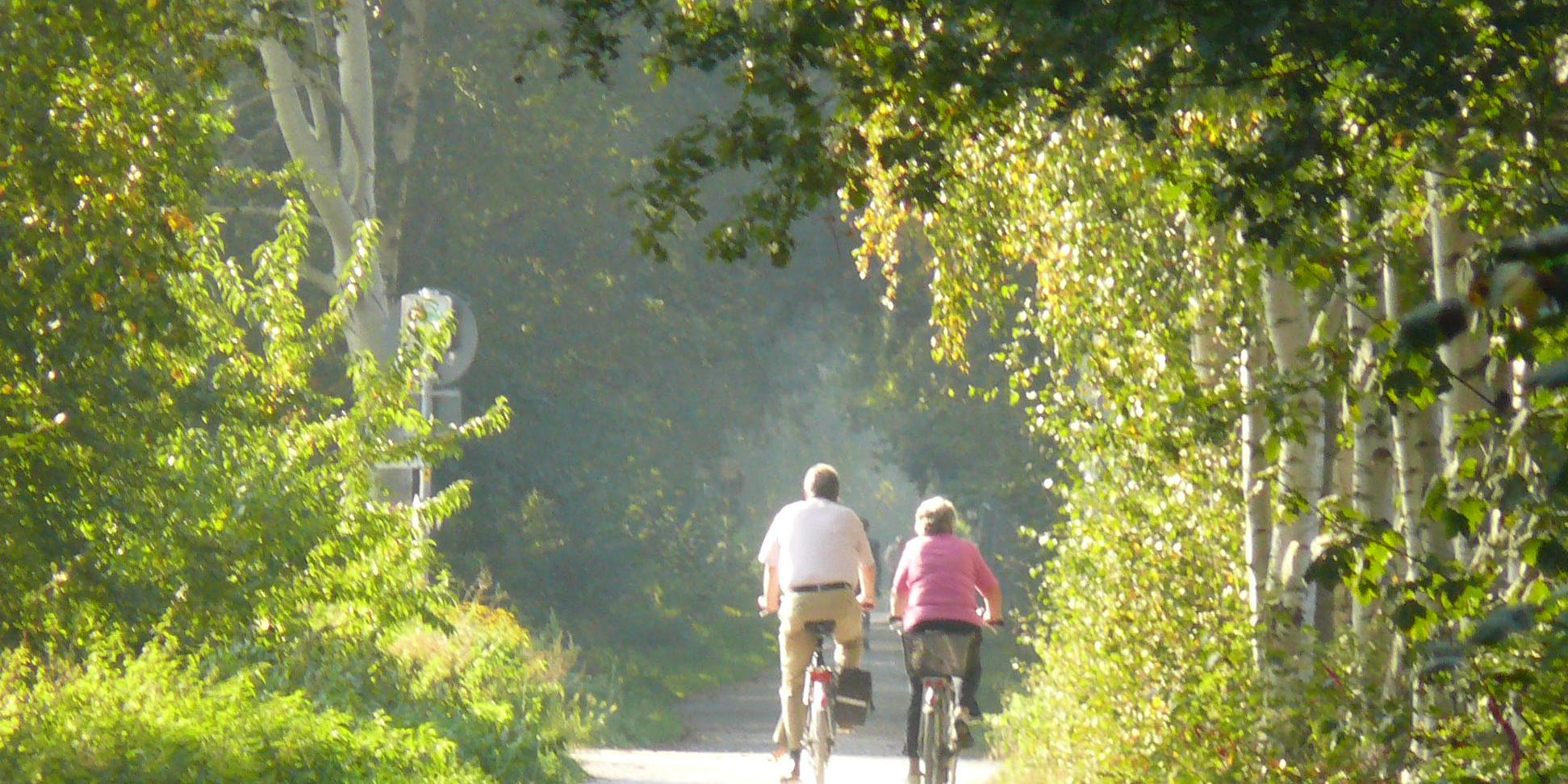 zwei Fahrradfahrer im Spätsommer