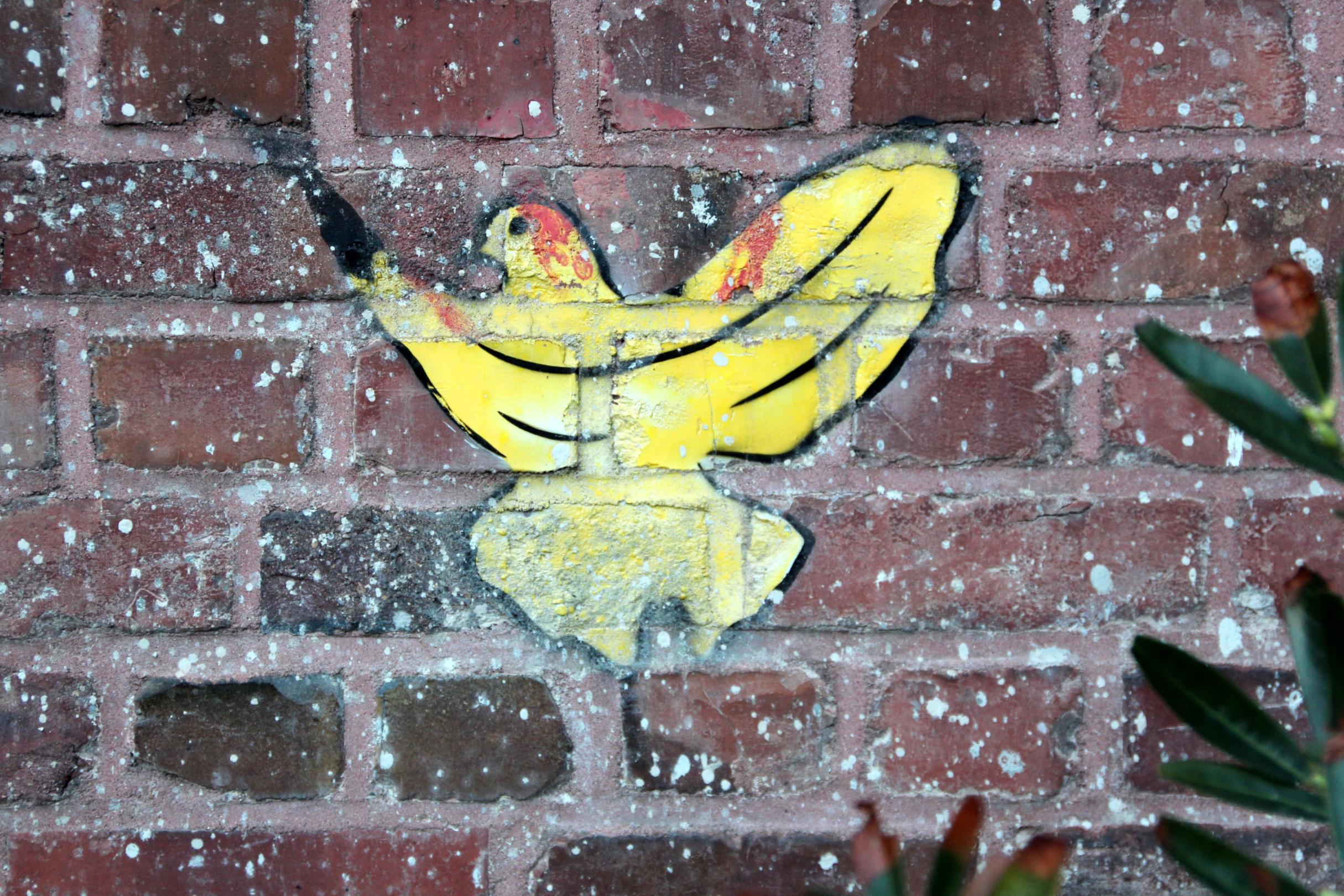 Eine Graffiti- Taube auf einer Wand