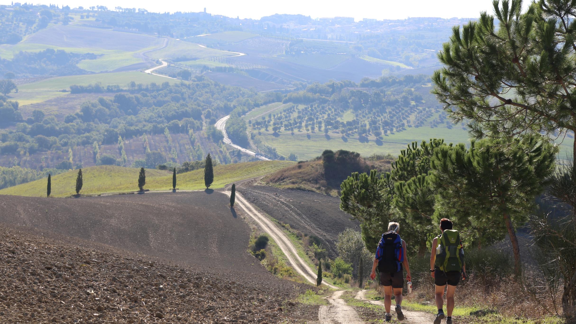 zwei Menschen wandern entlang eines Weges durch eine Landschaft