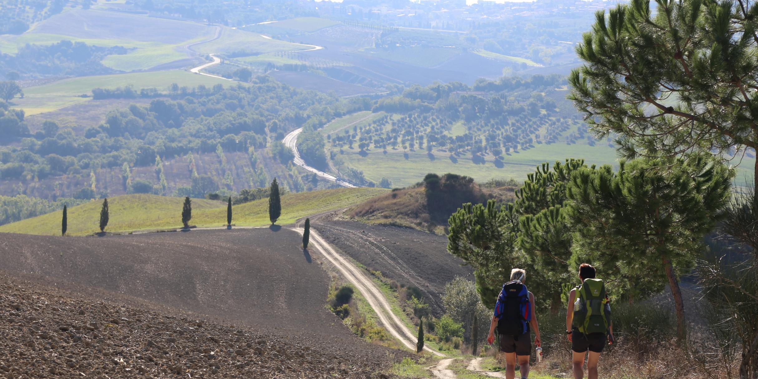 zwei Menschen wandern entlang eines Weges durch eine Landschaft
