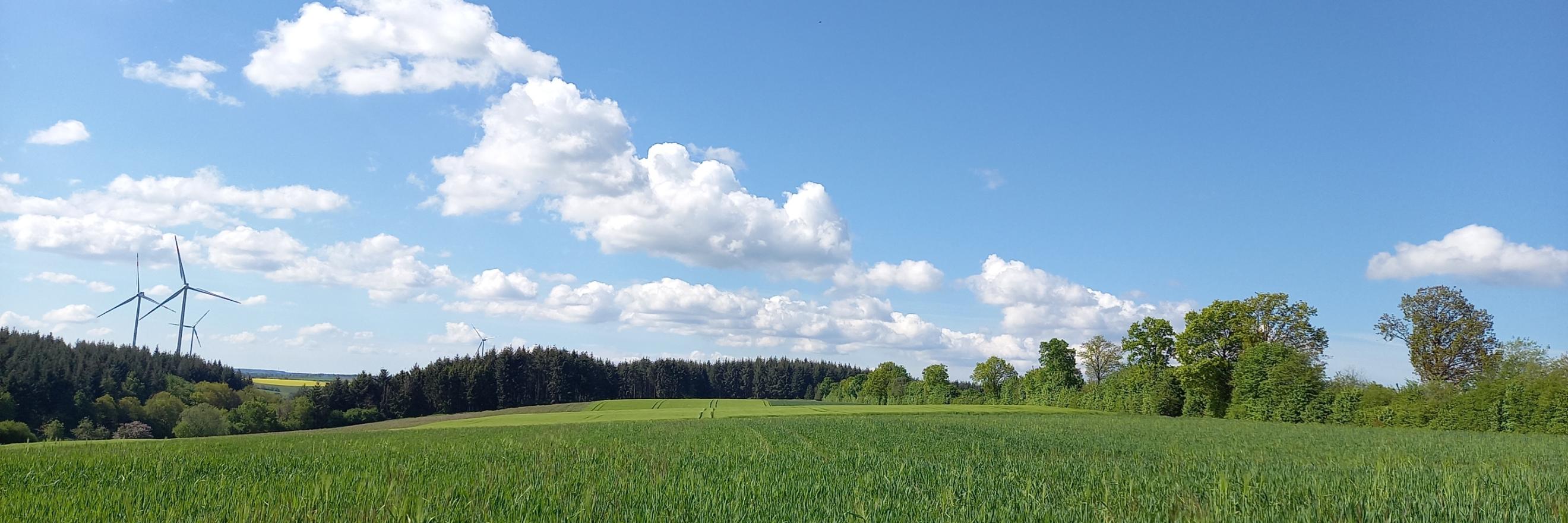 grüne Wiesen vor Wald und einem blauen Himmel