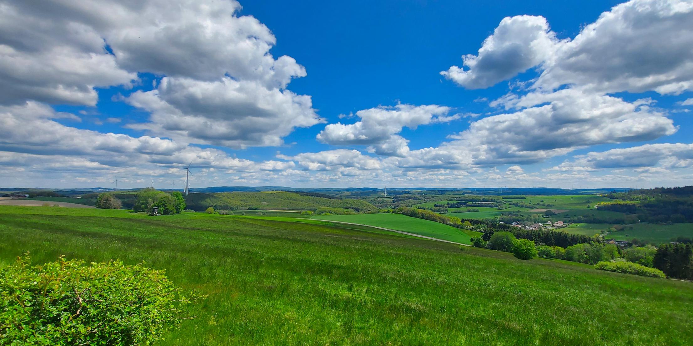 Man sieht eine Wiese mit freier Sicht und weitem Blick, blauen Himmel und weiße Wolken