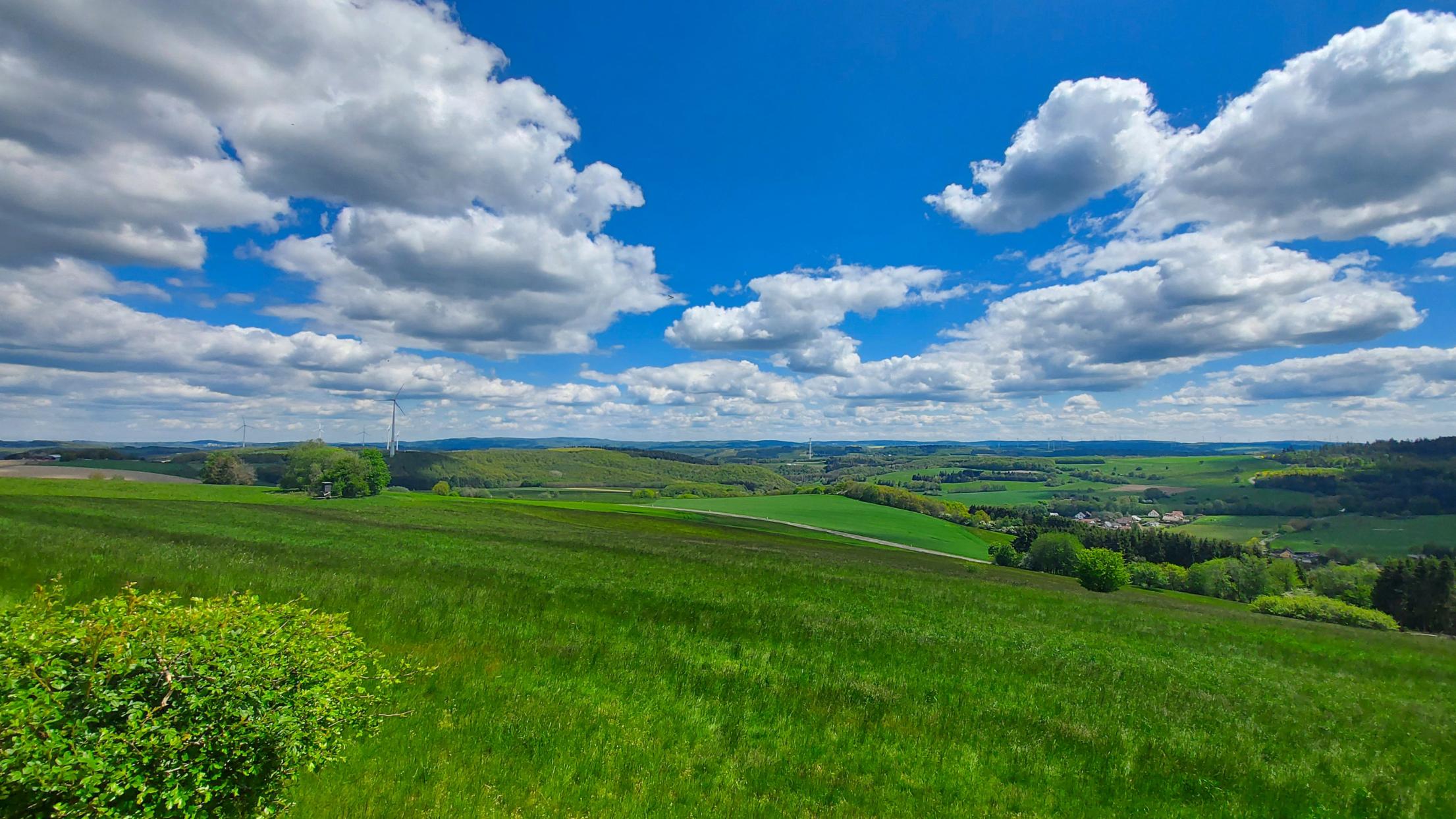 Man sieht eine Wiese mit freier Sicht und weitem Blick, blauen Himmel und weiße Wolken