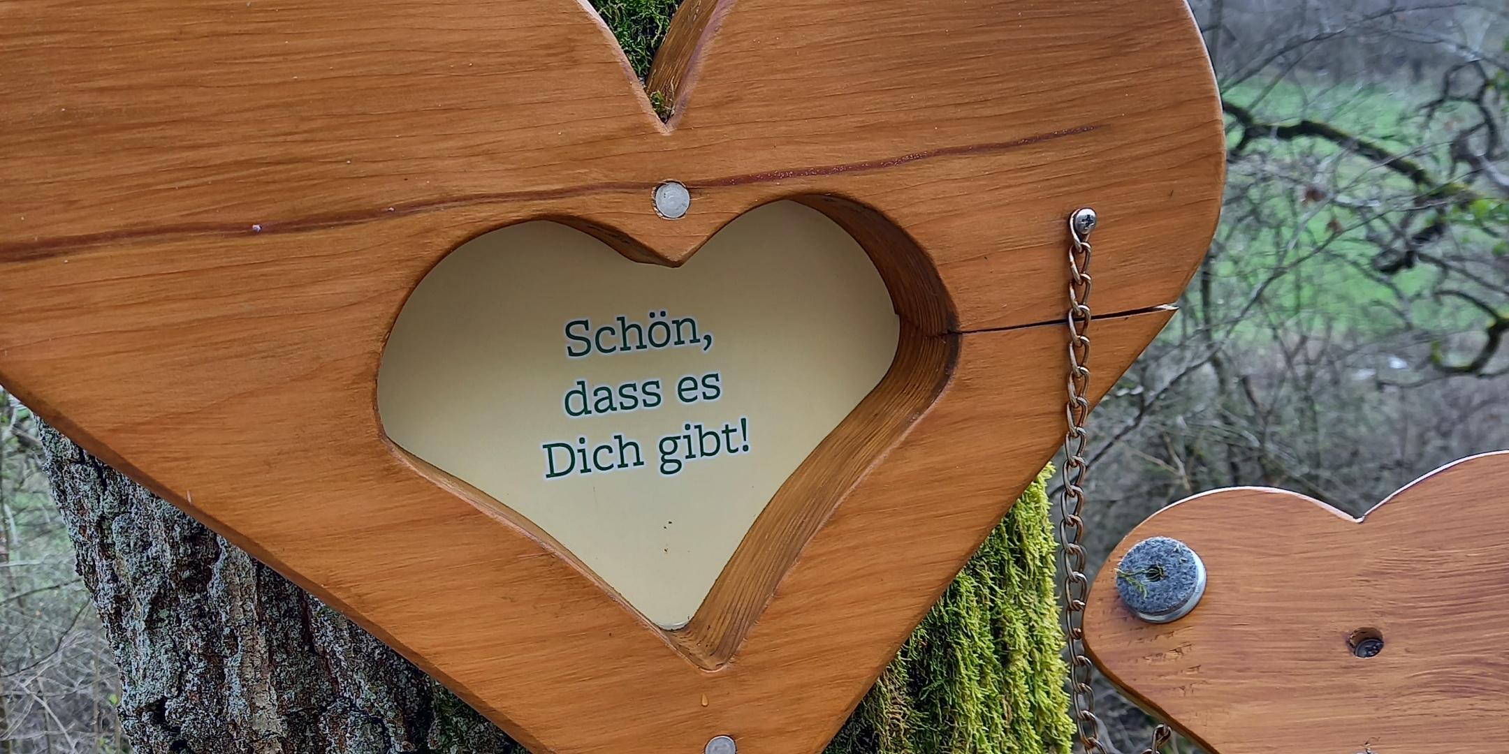 Ein Herz mit Inschrift an einem Baum (c) Rainer Stuhlträger Ein Herz mit Inschrift an einem Baum