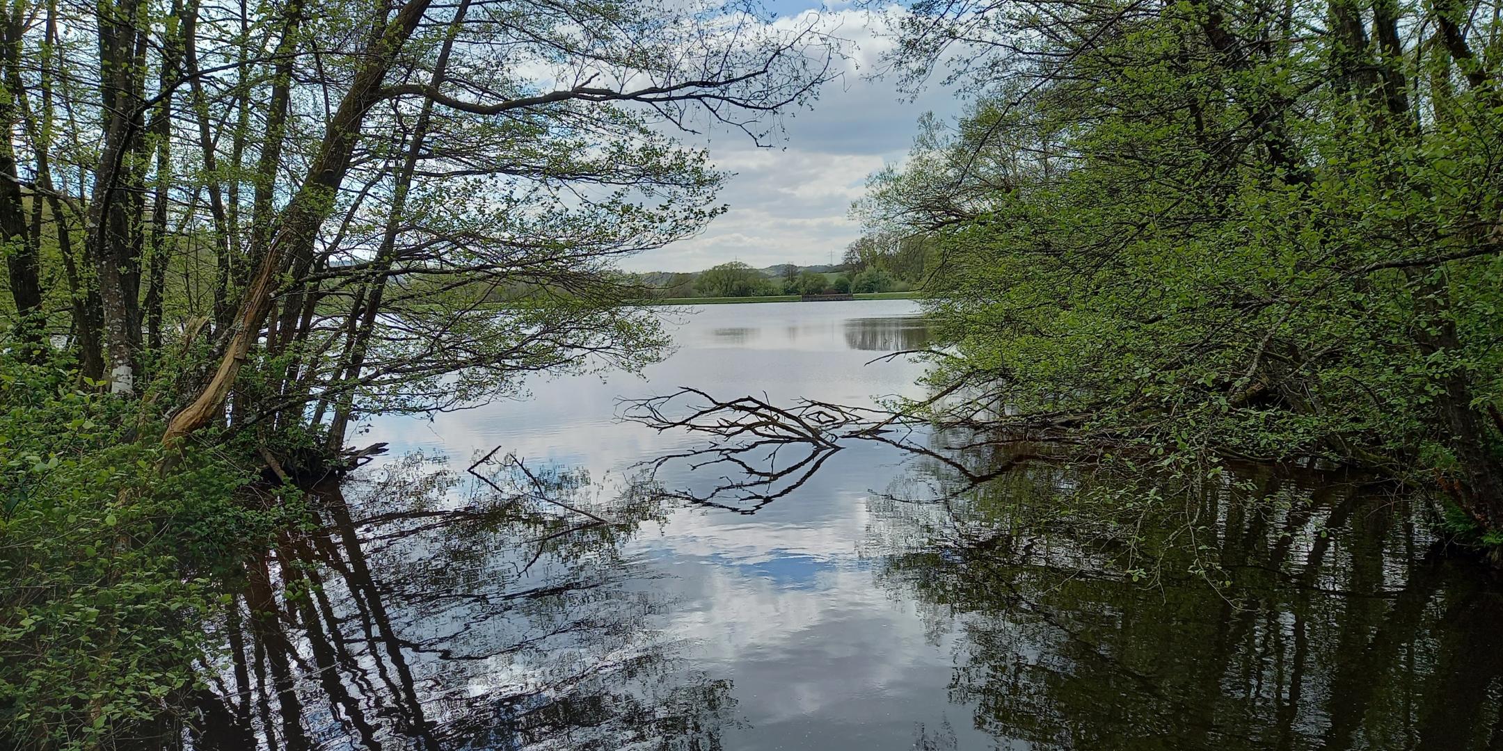 Ausblick auf den Noswendeler See