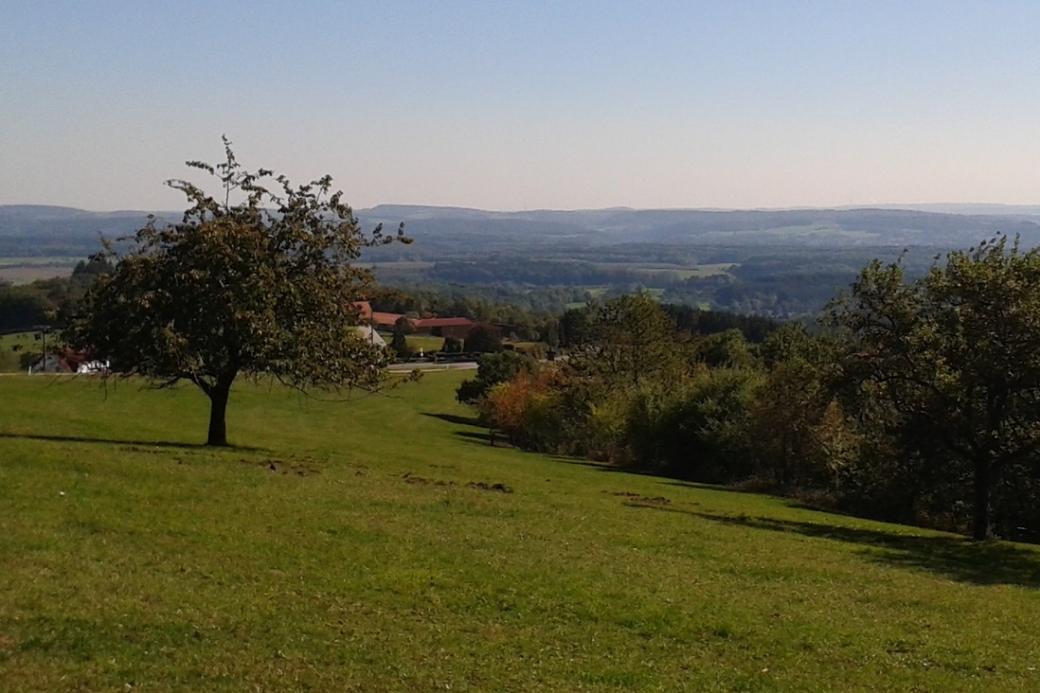 Blick über eine herbstliche Landschaft.