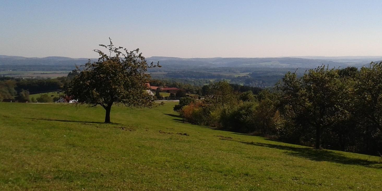 Blick über eine herbstliche Landschaft.