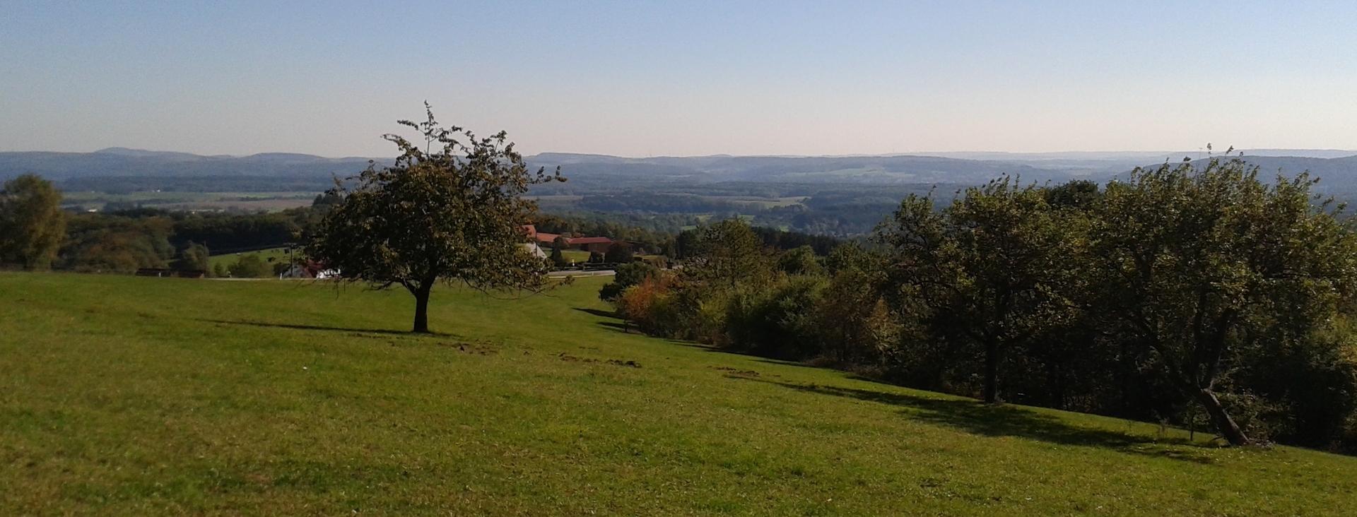 Blick über eine herbstliche Landschaft.