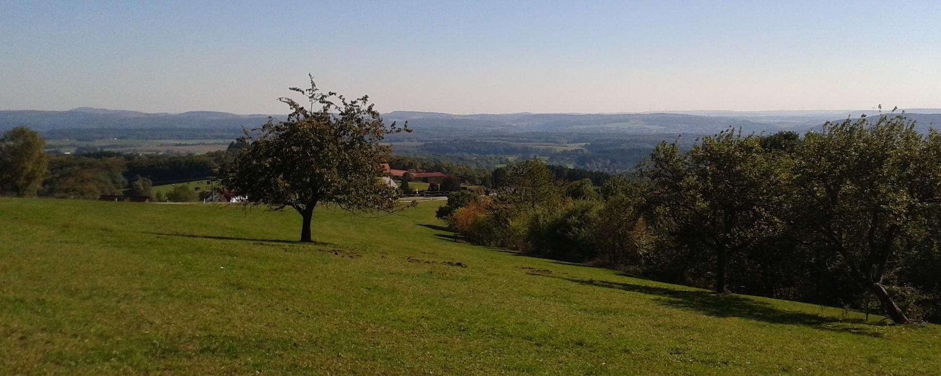 Blick über eine herbstliche Landschaft.