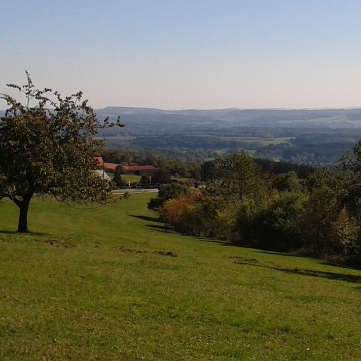 Blick über eine herbstliche Landschaft.