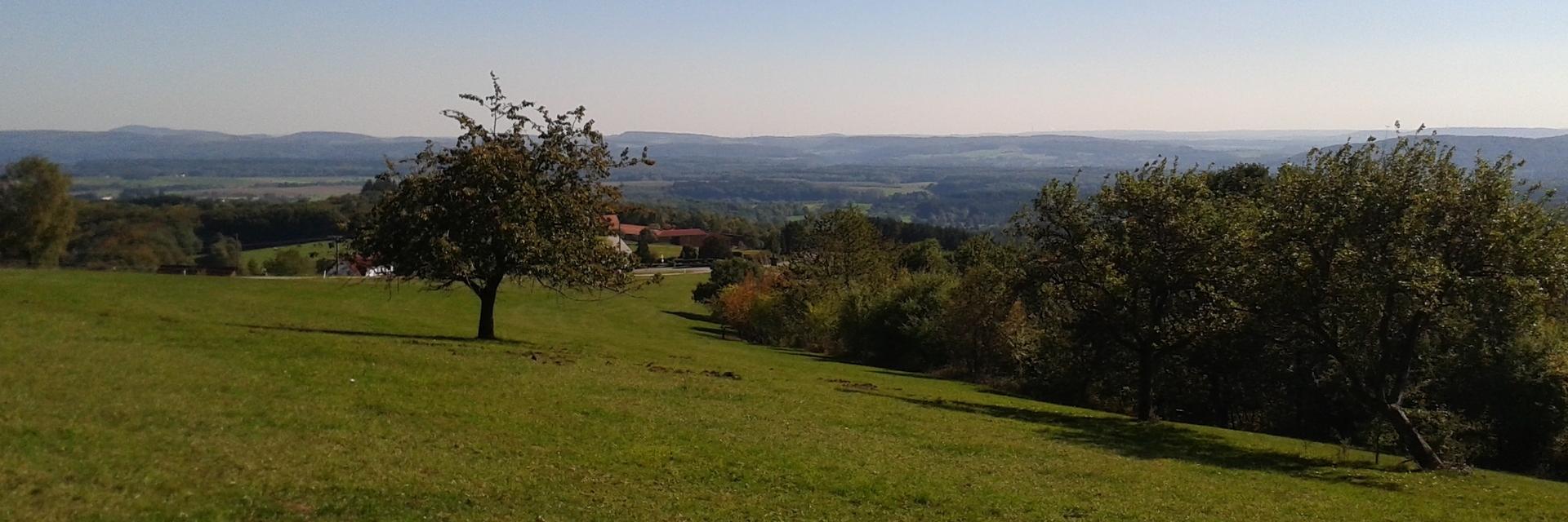 Blick über eine herbstliche Landschaft.