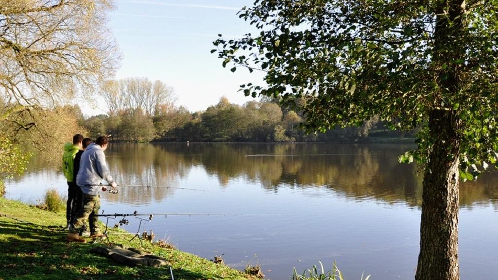 Ufer des Noswendeler Sees mit einen Baum und Wanderern