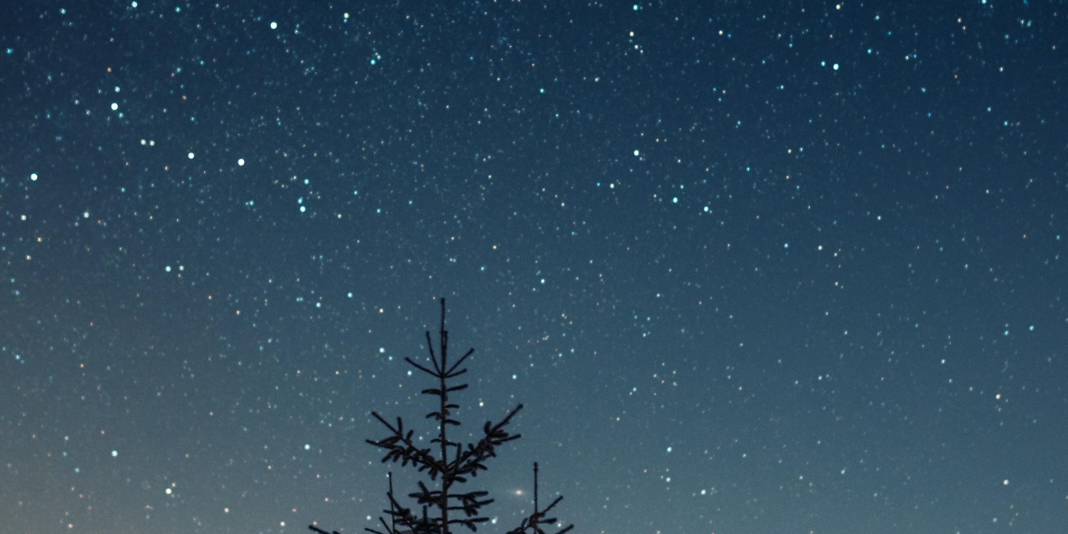 in Winterlandschaft einer dunkler Sternenhimmel