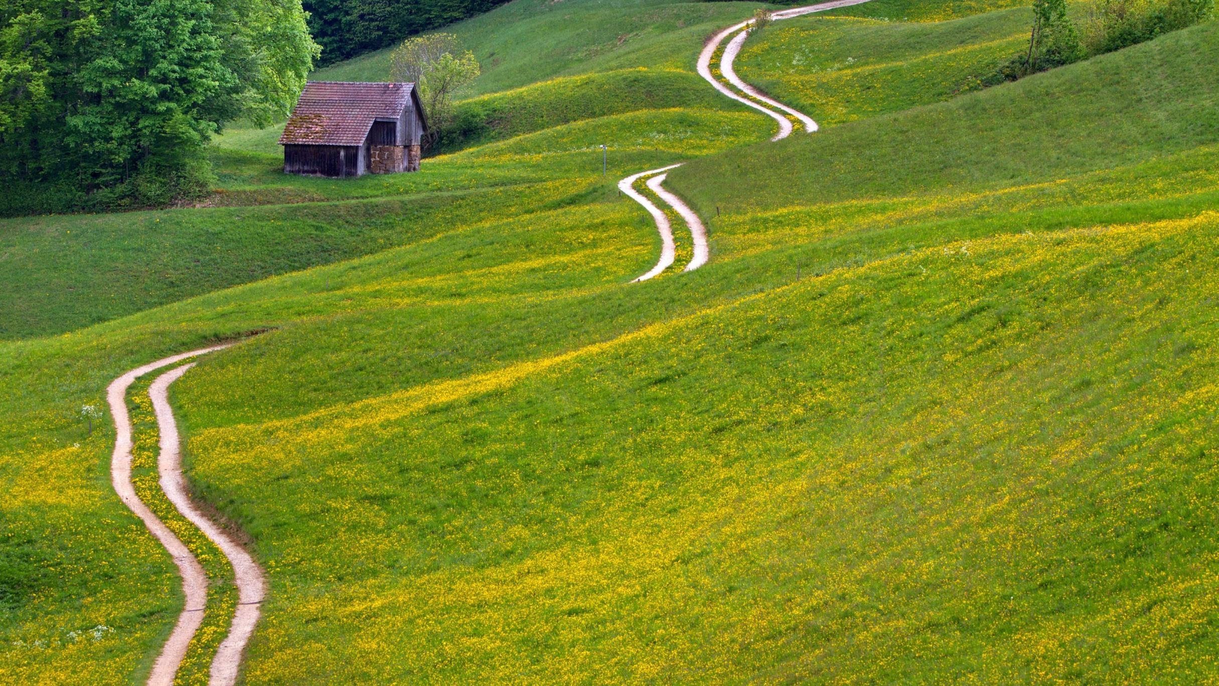 ein geschwungener Weg über eine hügelige Landschaft