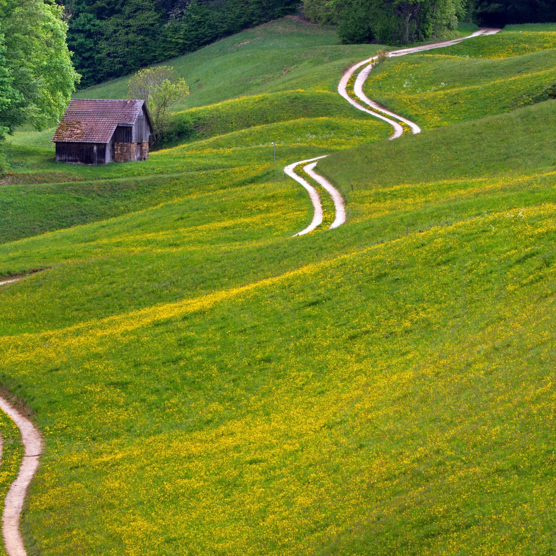 Einen Weg finden weiter zu leben (c) adege.cc0 gemeinfrei pixabay by pfarrbriefservice.de ein geschwungener Weg über eine hügelige Landschaft