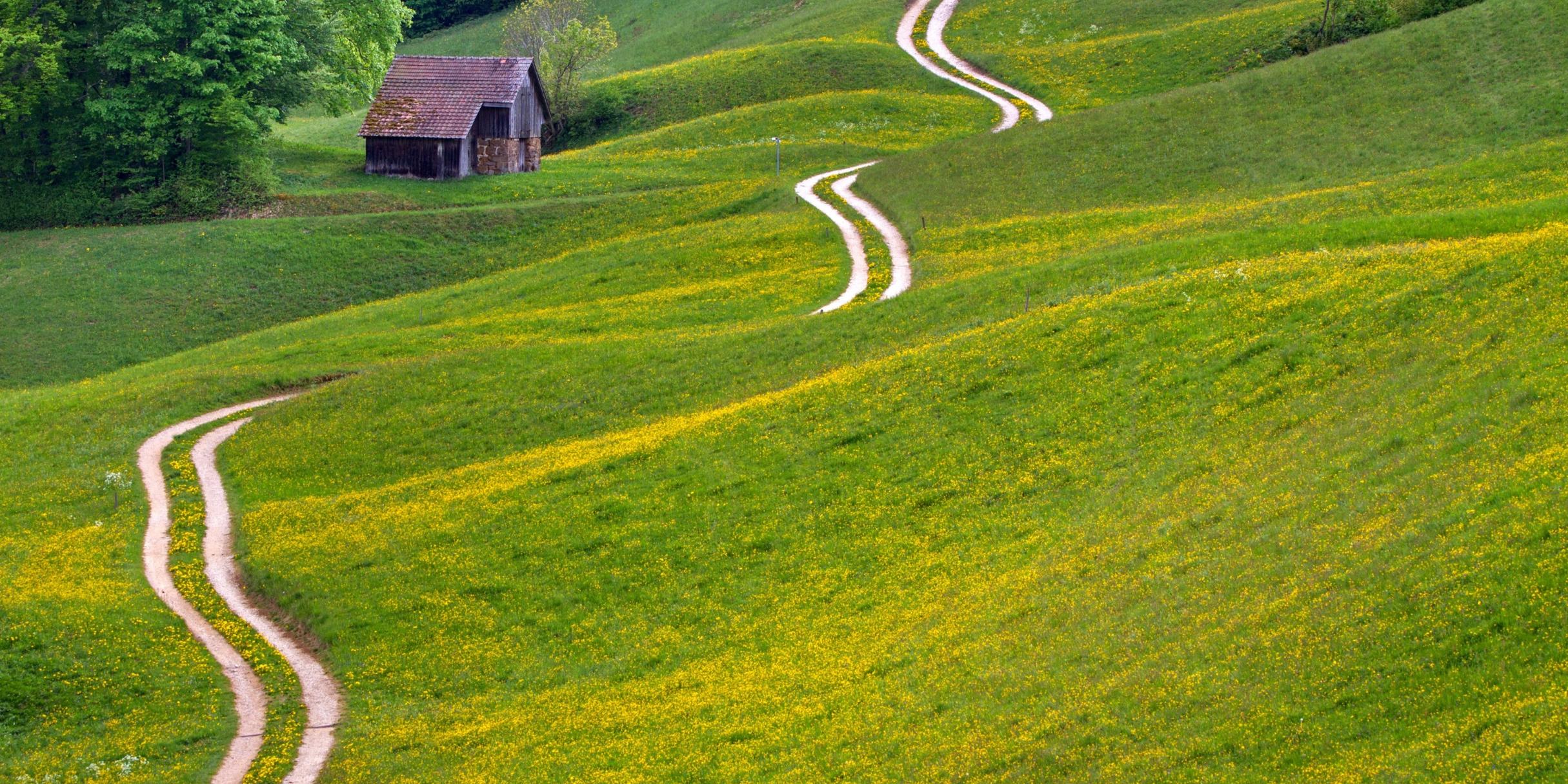 ein geschwungener Weg über eine hügelige Landschaft