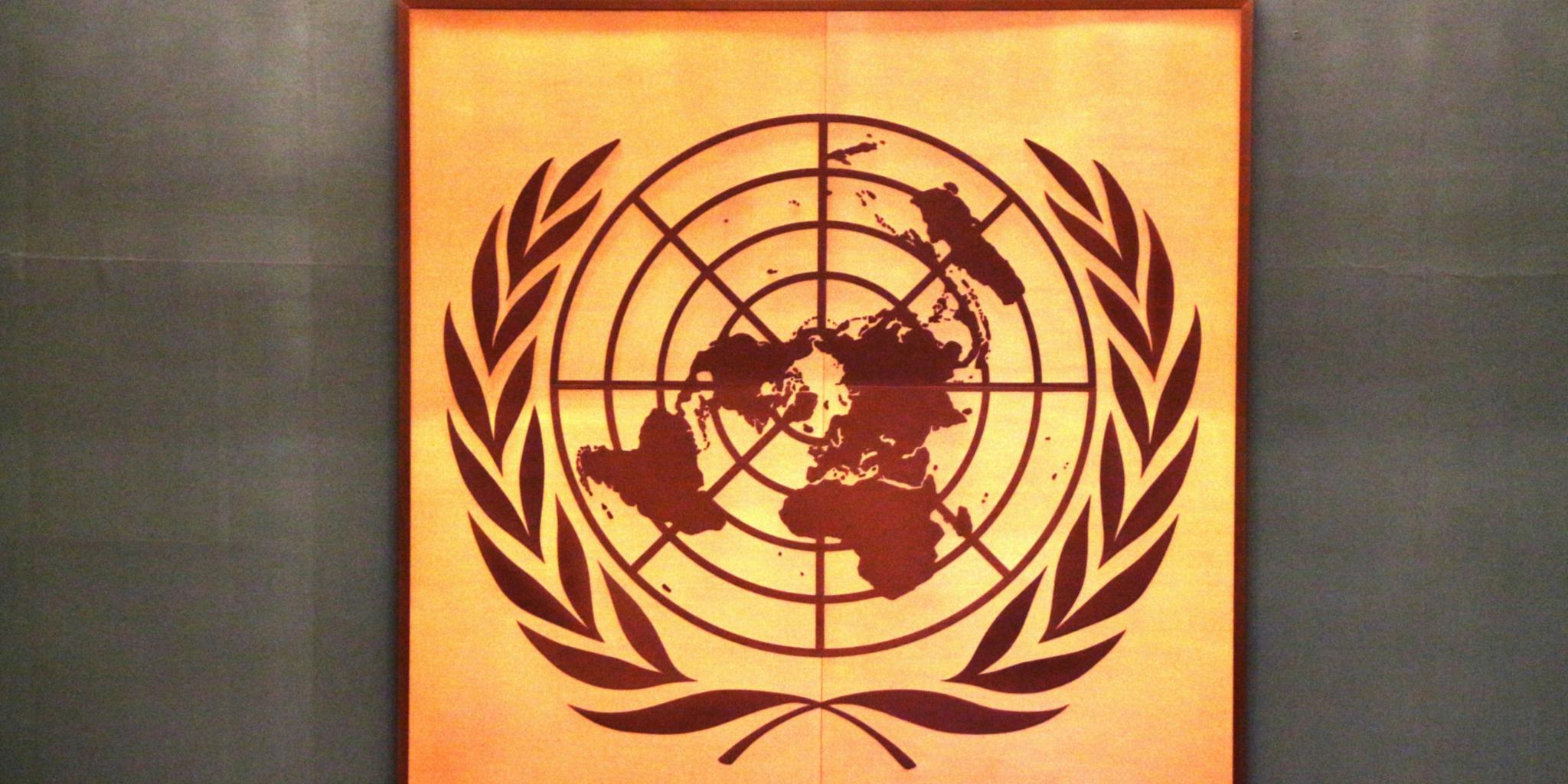 davi-mendes-rt3exrfx0pE-unsplash Auf Gold das Emblem der Vereinten Nationen