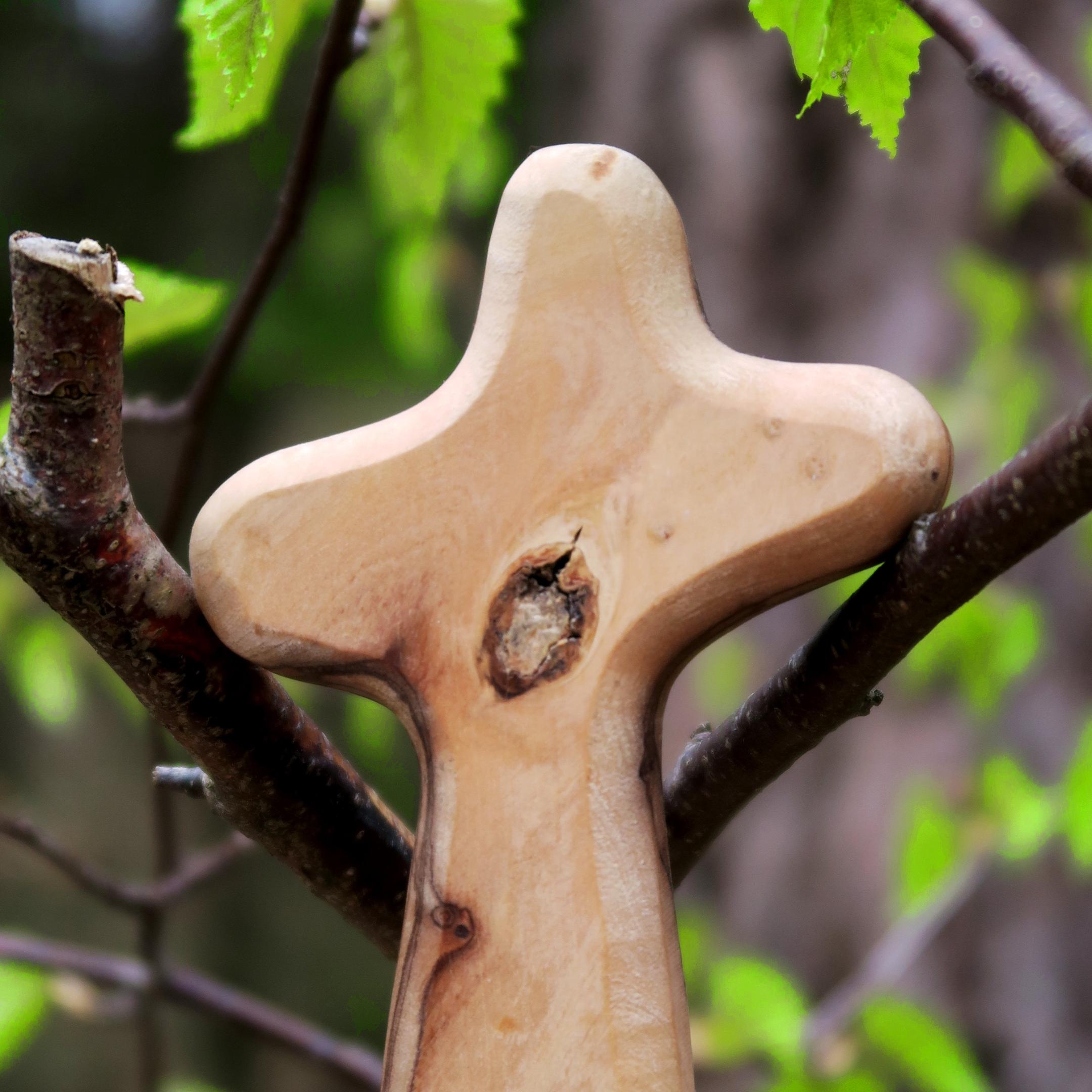 Ein Holzkreuz vor grünen Pflanzen