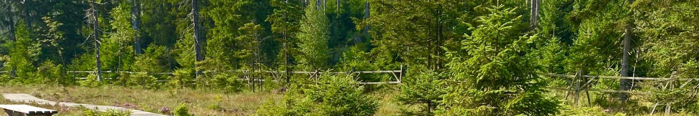 Pfarreien Pastoraler Raum Wadern