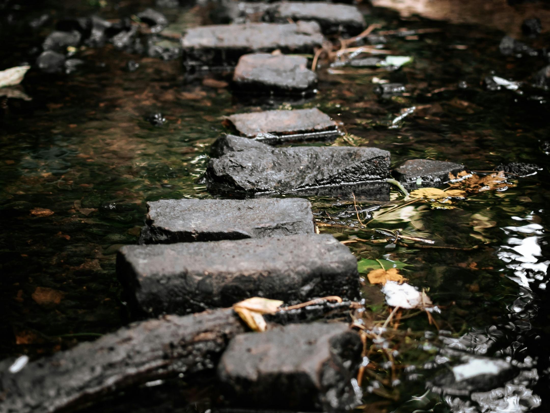 matt-walsh-D4eATL70IjE-unsplash (c) Matt Walsh in unsplash.com Trittsteine durch einen Bach