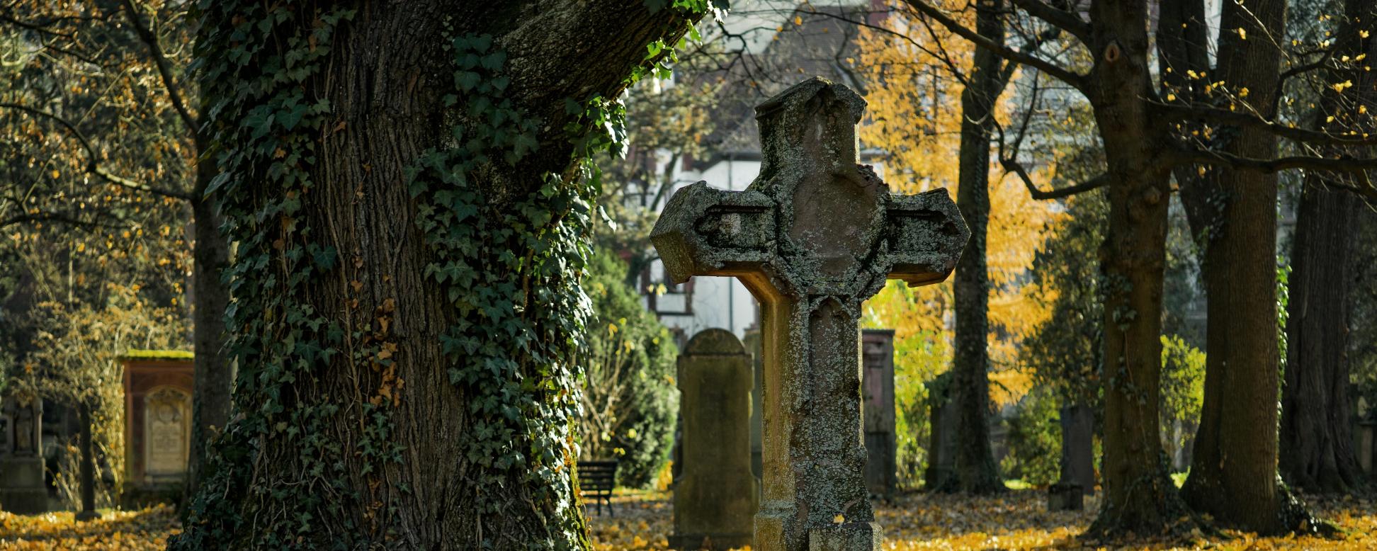 Ein Friedhof in herbstlicher Stimmung