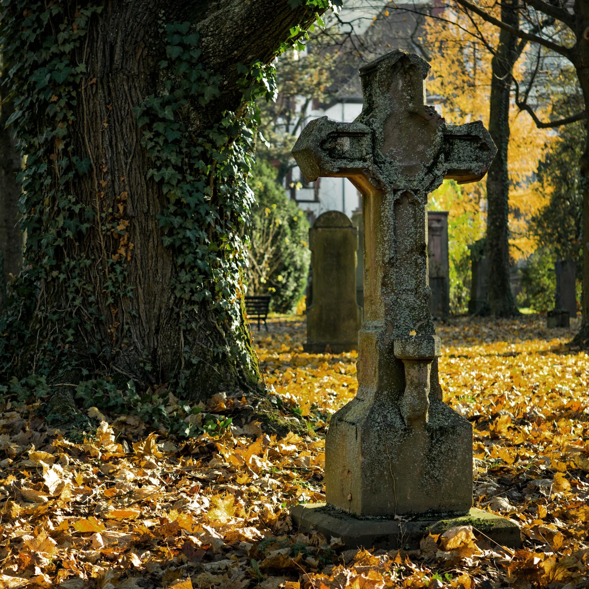 Ein Friedhof in herbstlicher Stimmung