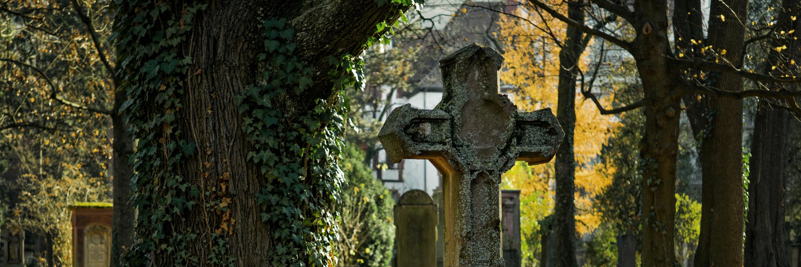 Ein Friedhof in herbstlicher Stimmung