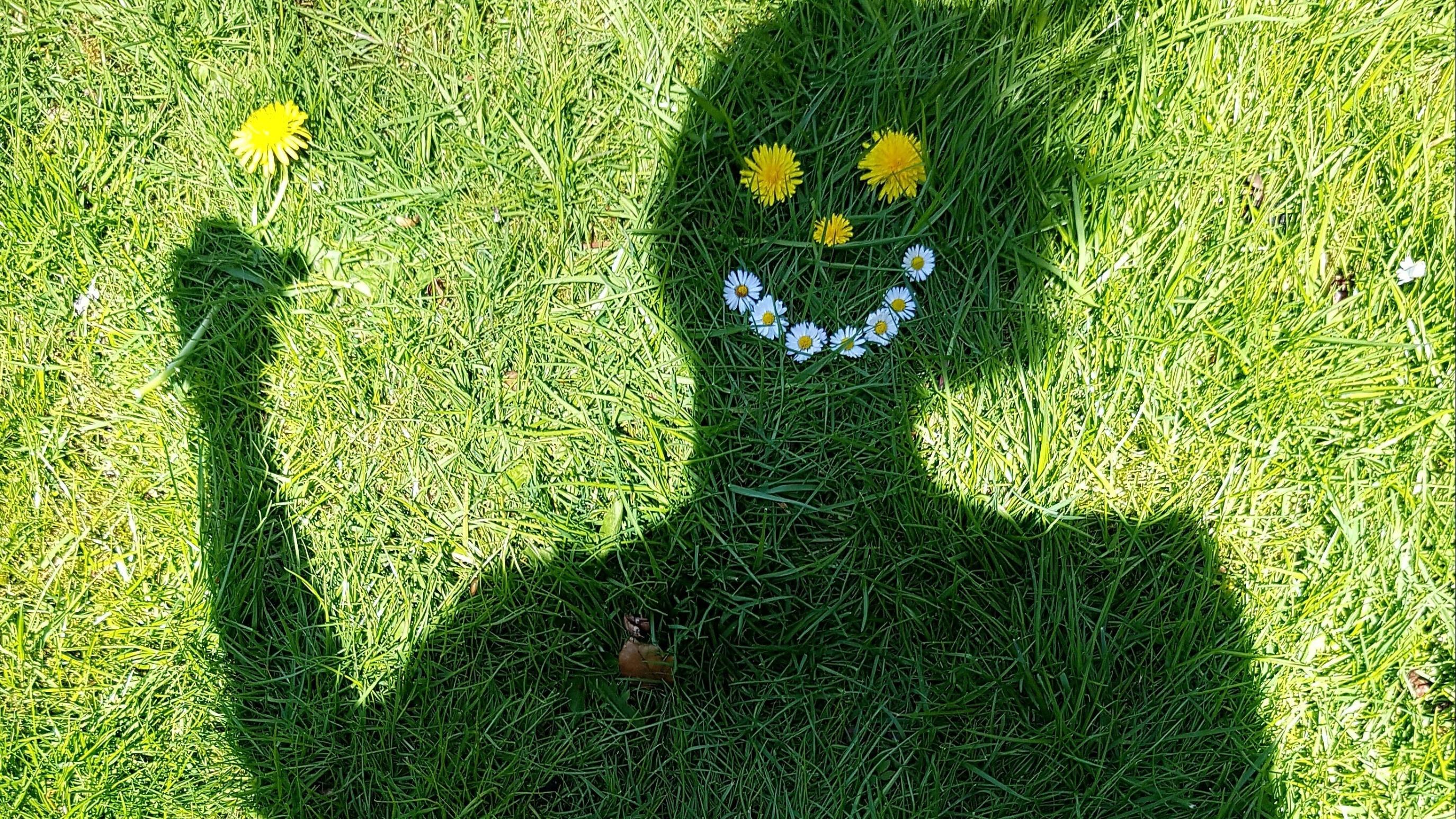 ein Schatten auf einer Wiese auf den mit Blumen ein lachendes Gesicht gelegt ist