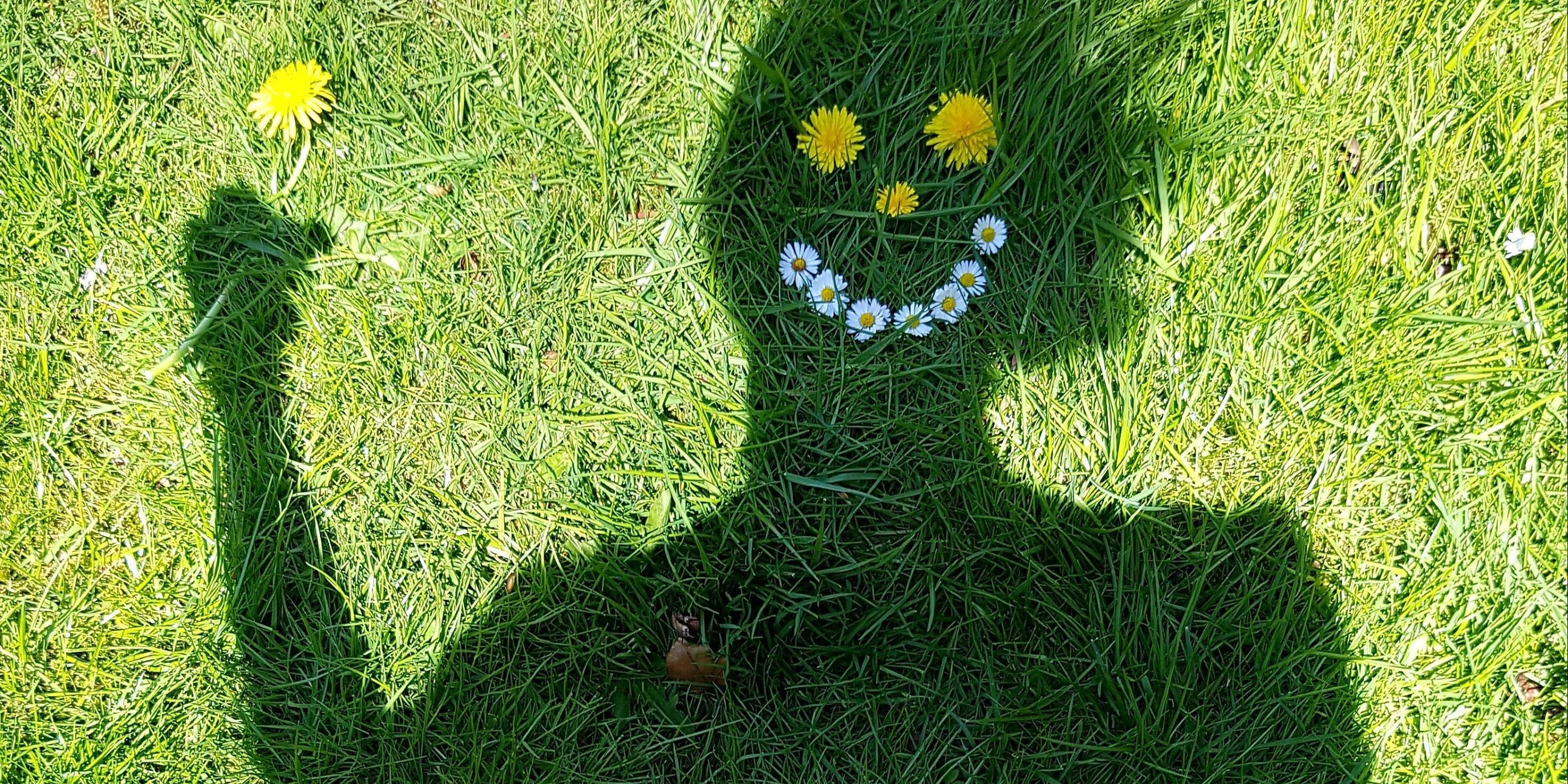 ein Schatten auf einer Wiese auf den mit Blumen ein lachendes Gesicht gelegt ist