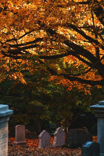 Ein Friedhof in November Ein Friedhof.ö Dahinter stehen Bäumen im Herbtlaub
